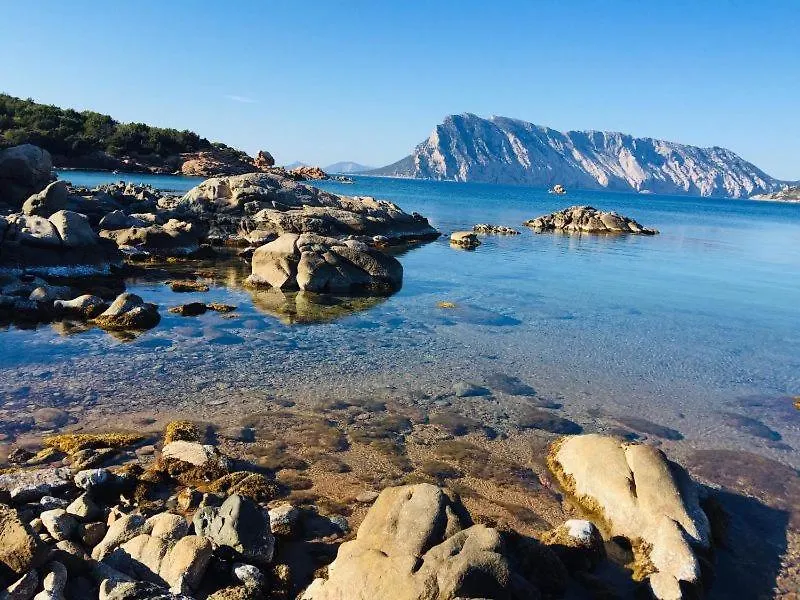 Casa vacanze villino D5 coda cavallo villaggio cala paradiso San Teodoro